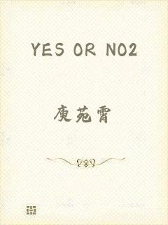 YES OR NO2